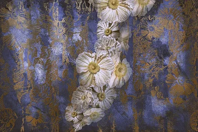 Фото Фреска Тренды Флориано арт. 980246 - Цветы | Студия фресок и фотопанно "La Stanza"