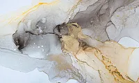 Фото Фреска ALBA Abstract арт. 800769 - Флюиды  | Студия фресок и фотопанно "La Stanza" 1
