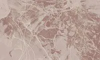 Фото Фреска Tesoro арт. 01316-GL - Line art | Студия фресок и фотопанно "La Stanza" 1