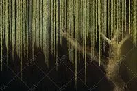 Фото Фреска Тренды Шинуазри арт. 980077 -  | Студия фресок и фотопанно "La Stanza" 1
