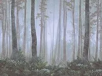 Фото Фреска ALBA Natura арт. 800103 - Лес и деревья | Студия фресок и фотопанно "La Stanza" 1