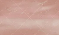 Фото Фреска ALBA Graphics арт. 800383 - Line art | Студия фресок и фотопанно "La Stanza" 1