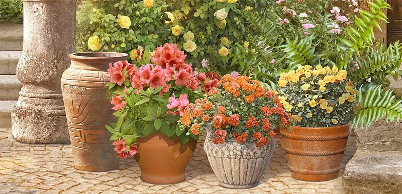 Без фактуры Бриз Лайт | Студия фресок и фотопанно "La Stanza"