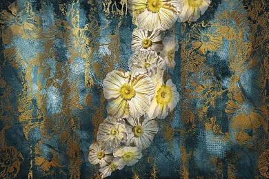 Фото Фреска Тренды Флориано арт. 980248 - Цветы | Студия фресок и фотопанно "La Stanza"