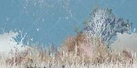 Фото Фреска Tesoro арт. 01262-S - Лес и деревья | Студия фресок и фотопанно "La Stanza" 1