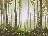 Фото Фреска ALBA Natura арт. 800102 - Лес и деревья | Студия фресок и фотопанно "La Stanza" 1