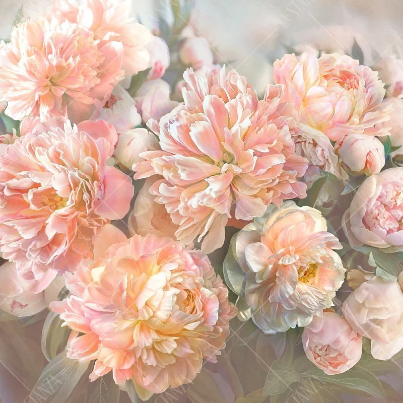 Фото Фреска ALBA Flora арт. 800251 - Цветы | Студия фресок и фотопанно "La Stanza" 1