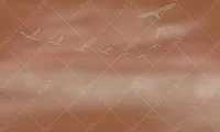 Фото Фреска ALBA Graphics арт. 800382 - Графика  | Студия фресок и фотопанно "La Stanza" 1