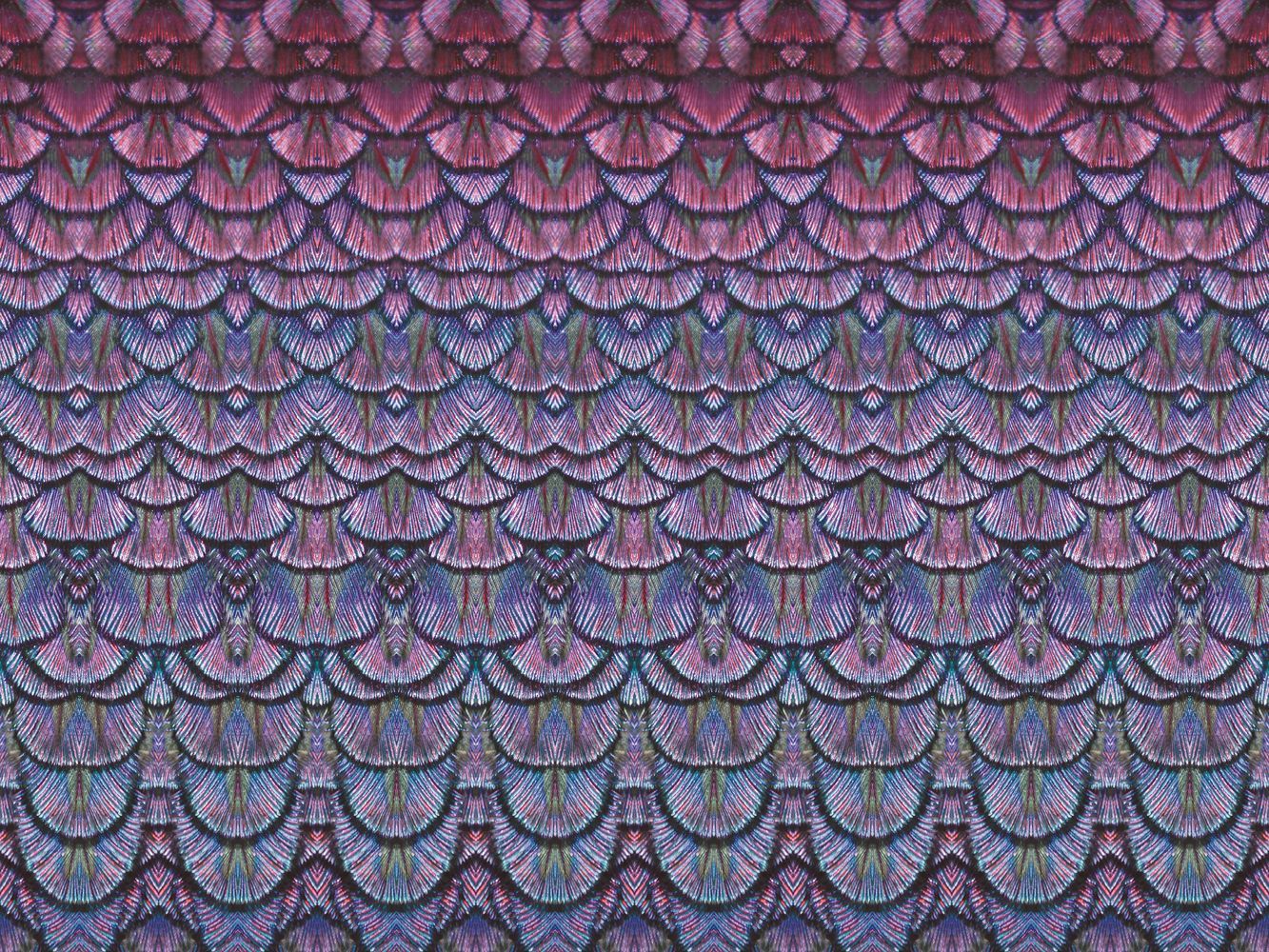 Фото Фреска Орнаменты и потолки Современные орнаменты арт. 980403 - Орнаменты и потолки | Студия фресок и фотопанно "La Stanza"