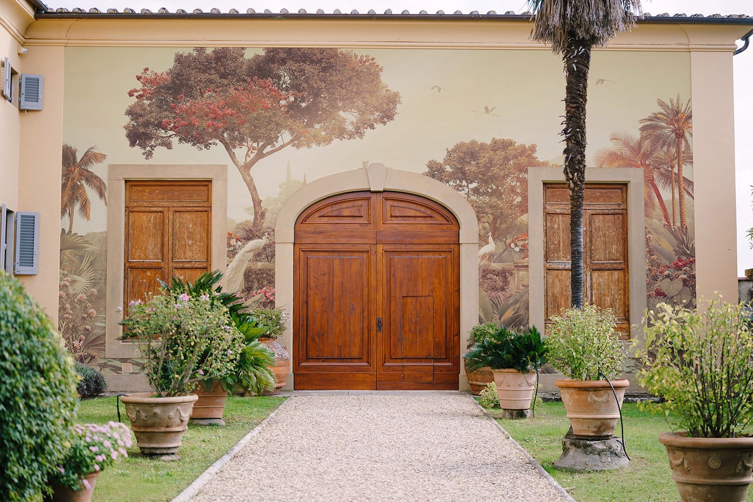 Фото Фреска ALBA Natura арт. 800118 - Лес и деревья | Студия фресок и фотопанно "La Stanza"