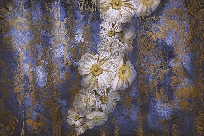 Фото Фреска Тренды Флориано арт. 980246 - Цветы | Студия фресок и фотопанно "La Stanza"