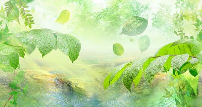 Фото Эко панно — Листья, лес, вода, лучи - Панорамы|Эко | Студия фресок и фотопанно "La Stanza"