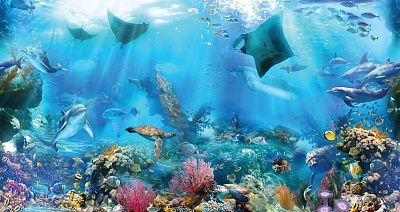 Фото Панно Рыбы, подводный мир - Панорамы|Эко | Студия фресок и фотопанно "La Stanza"