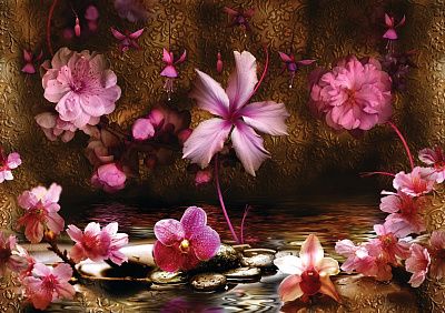 Фото Розовые цветы на темном фоне - Панорамы|Растительные | Студия фресок и фотопанно "La Stanza"