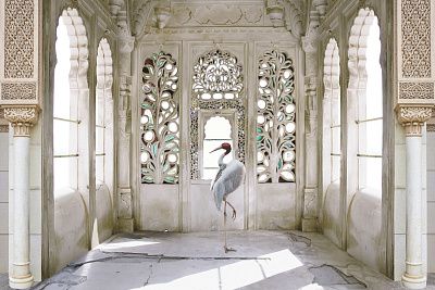 Фото Фреска Тренды Марракеш арт. 980215 - Орнаменты | Студия фресок и фотопанно "La Stanza"