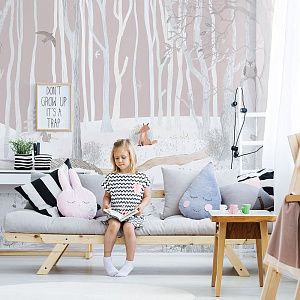 Фото Фреска ALBA Dreams арт. 800592 - Детские|Для девочки | Студия фресок и фотопанно "La Stanza"