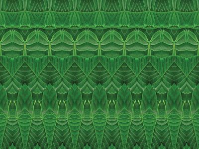 Фото Фреска Орнаменты и потолки Современные орнаменты арт. 980411 -  | Студия фресок и фотопанно "La Stanza"