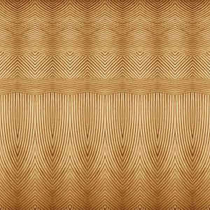 Фото Фреска Орнаменты и потолки Современные орнаменты арт. 980395 - Орнаменты | Студия фресок и фотопанно "La Stanza"