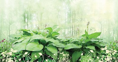 Фото Фантастические заросли подорожника в лесу - Панорамы|Эко | Студия фресок и фотопанно "La Stanza"