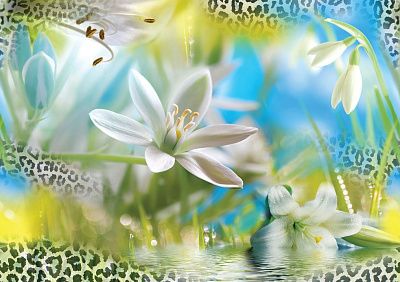 Фото Коллаж с подснежниками - Панорамы|Растительные | Студия фресок и фотопанно "La Stanza"