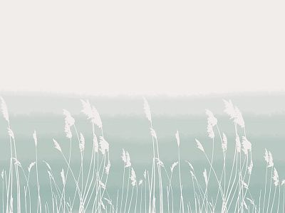 Фото Фреска Тренды Простые решения арт. 910006 - Детские|Для мальчика  | Студия фресок и фотопанно "La Stanza"