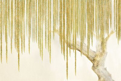 Фото Фреска Тренды Шинуазри арт. 980078 -  | Студия фресок и фотопанно "La Stanza"