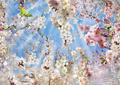 Фото Яблони и сакура в цвету - Панорамы|Растительные | Студия фресок и фотопанно "La Stanza"