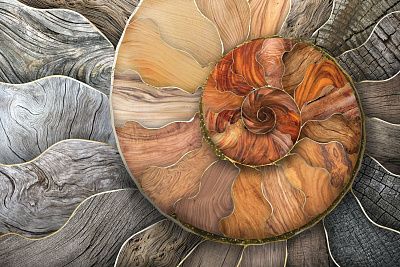 Фото Фреска Тренды Симфония текстур арт. 980226 -  | Студия фресок и фотопанно "La Stanza"